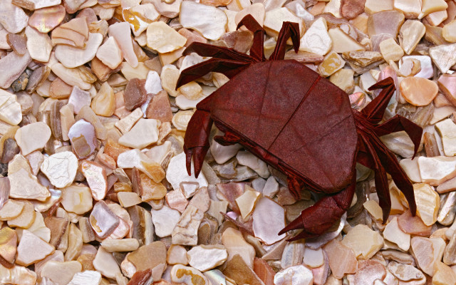 Red crab rocks gravel ecological free wallpaper - medium preview image