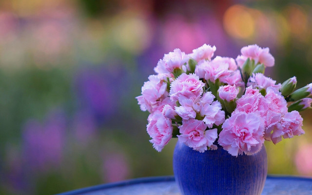 Blue vase pink flowers garden free wallpaper - medium preview image