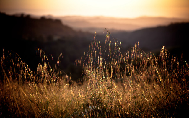 Field mountain sunset tiltshift flare free wallpaper - medium preview image