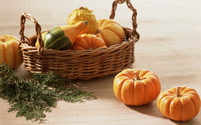 Pumpkins gourds harvest fall folk free wallpaper - medium preview image