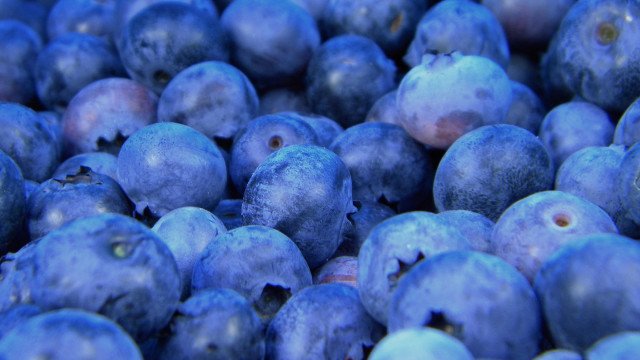 Blueberries blurry macro synthetism blue free wallpaper - medium preview image