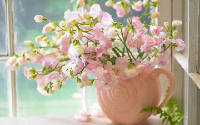 Pink vase pink white flowers free wallpaper - medium preview image