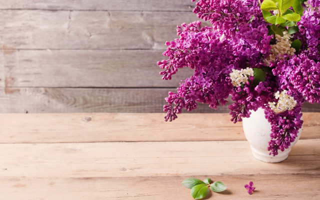 Vase purple flowers wooden table #2 free wallpaper - medium preview image