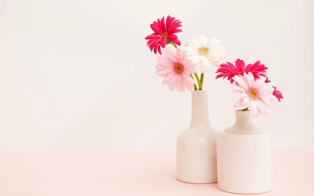 Three white vases pink flowers free wallpaper - medium preview image