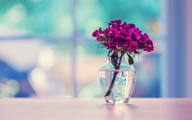 Vase purple flowers table window #3 free wallpaper - medium preview image