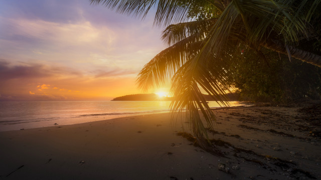 Palm tree beach sunset mountain free wallpaper - medium preview image