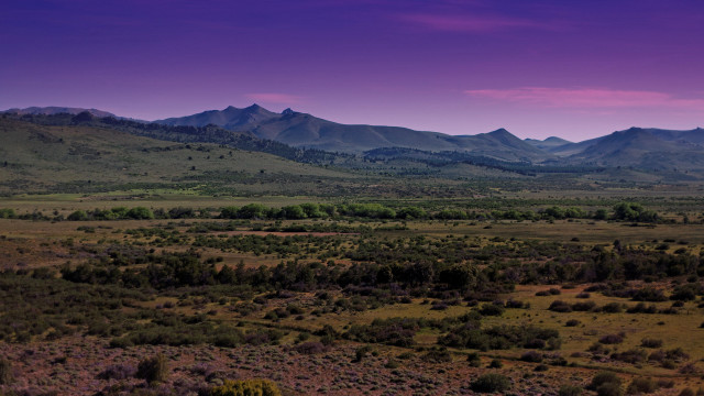 Mountain forest panoramic purple sky free wallpaper - medium preview image