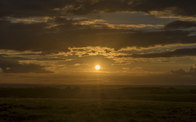 Sunset clouds horse field matte free wallpaper - medium preview image