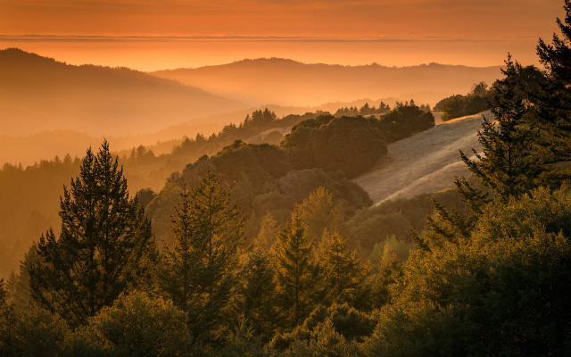 Mountain range fog sunset trees free wallpaper - medium preview image