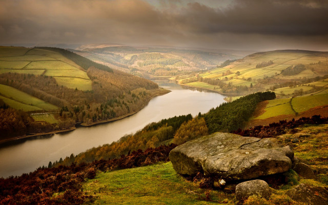 Lush hillside rock lake forest free wallpaper - medium preview image