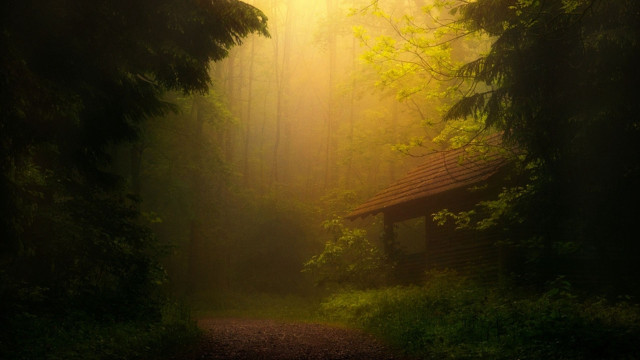 Path woods cabin trees grass free wallpaper - medium preview image