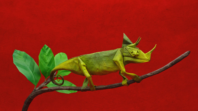 Green chameleon branch leaves red #2 free wallpaper - medium preview image