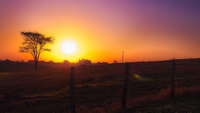 Sunset field fence trees cityscape free wallpaper - medium preview image