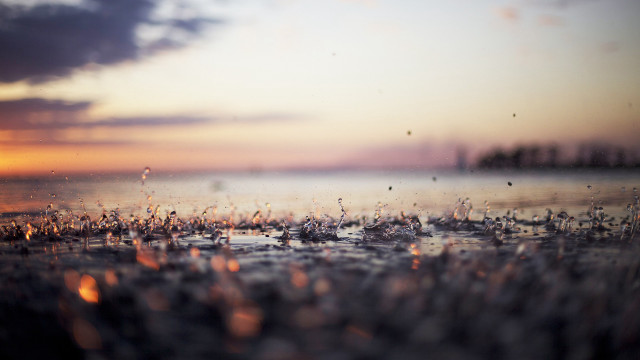 Sunset water drops trees bokeh free wallpaper - medium preview image