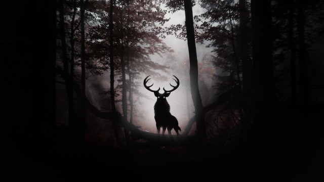 Deer forest fog gothic matte free wallpaper - medium preview image