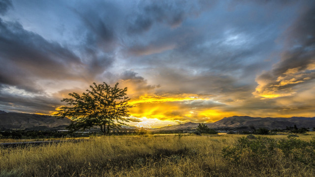 Sunset mountains tree field clouds free wallpaper - medium preview image