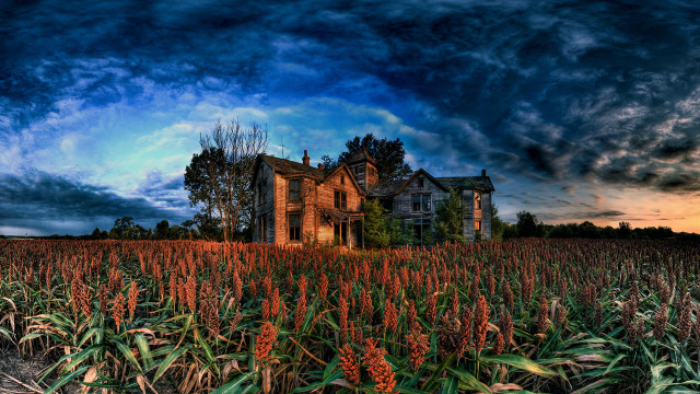 Large house field cloudy sky free wallpaper - medium preview image