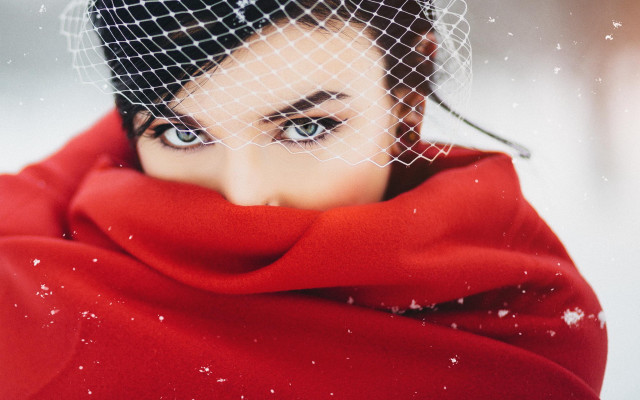 Snowy veil brown eyes fence free wallpaper - medium preview image