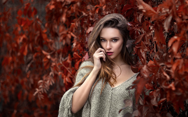 Woman autumn leaves cellphone purse free wallpaper - medium preview image