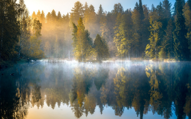 Lake foggy forest reflection autumn free wallpaper - medium preview image