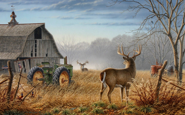Deer tractor field barn foreground #3 free wallpaper - medium preview image