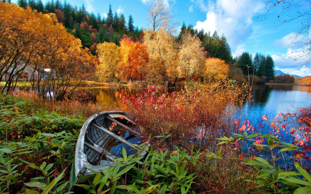 Autumn lake boat trees flower free wallpaper - medium preview image
