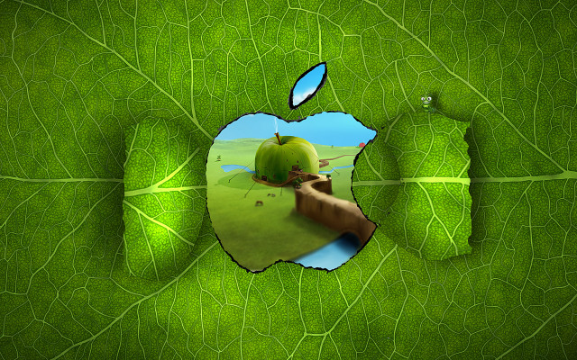 Green apple hole leaf tree free wallpaper - medium preview image