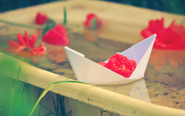 Paper boat pond flower red free wallpaper - medium preview image