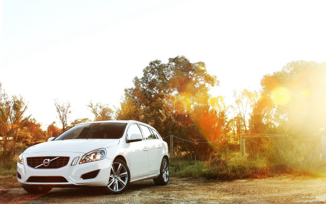 White car autumn fall trees free wallpaper - medium preview image