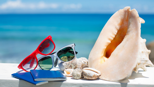 Sunglasses book ocean ledge shell free wallpaper - medium preview image