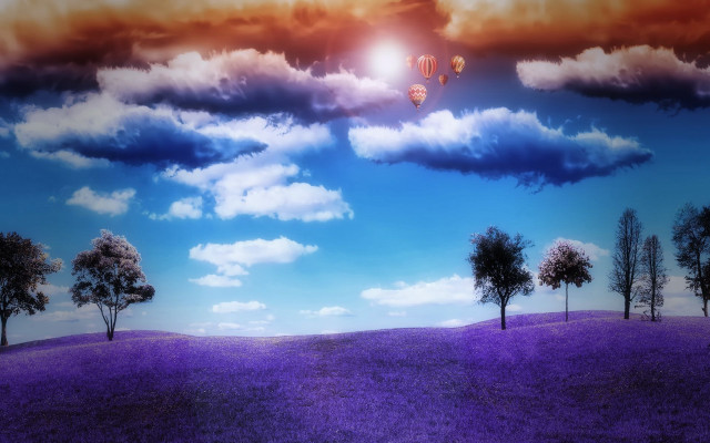 Landscape trees hotairballoons lavender sunset free wallpaper - medium preview image