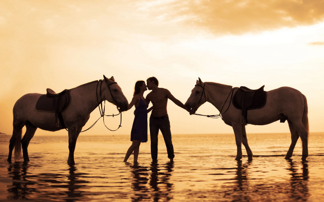 Romantic horses beach sunset silhouette free wallpaper - medium preview image