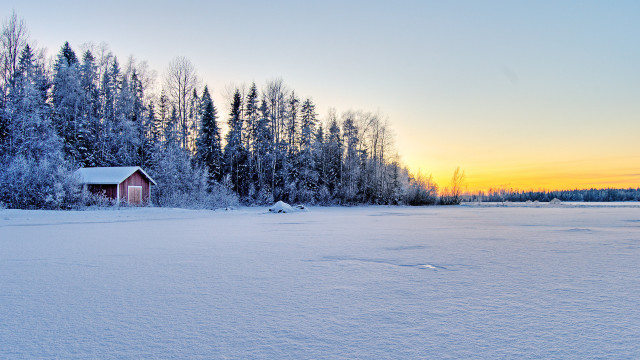 Snowy cabin dawn trees matte free wallpaper - medium preview image