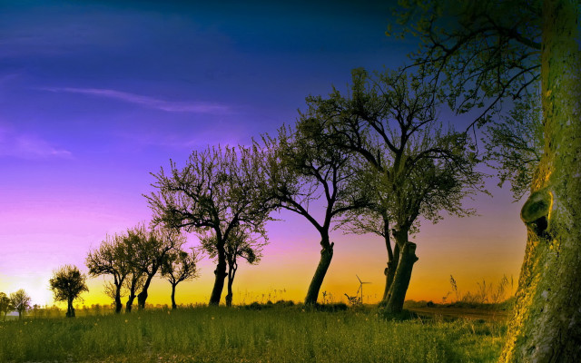 Purple sky autumn trees lake free wallpaper - medium preview image