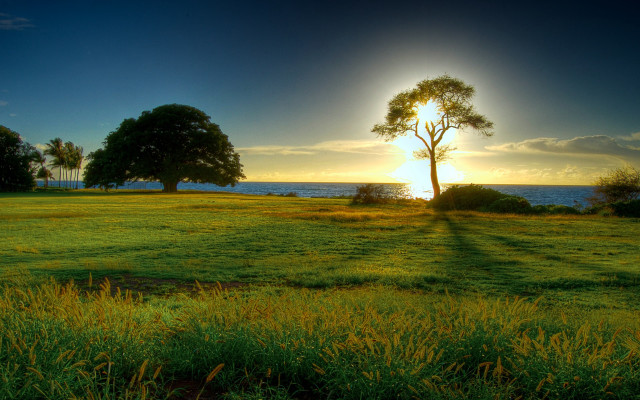 Sunset field tree water beautiful free wallpaper - medium preview image