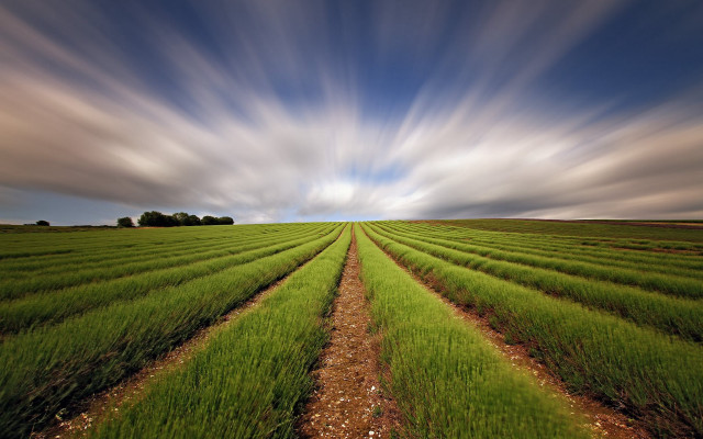 Clouds grass dirt path landscape free wallpaper - medium preview image