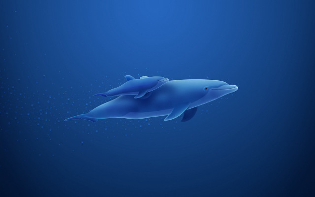 Dolphin ocean bubbles fish digital free wallpaper - medium preview image