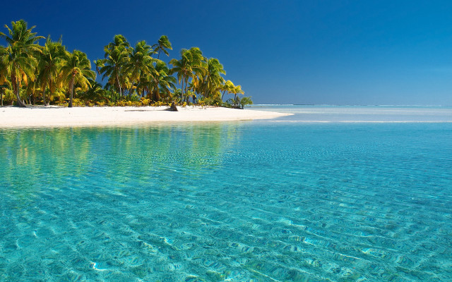 Beach palm trees clear water #18 free wallpaper - medium preview image