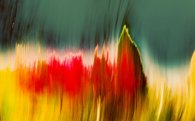 Blurry colorful flower garden trees free wallpaper - medium preview image
