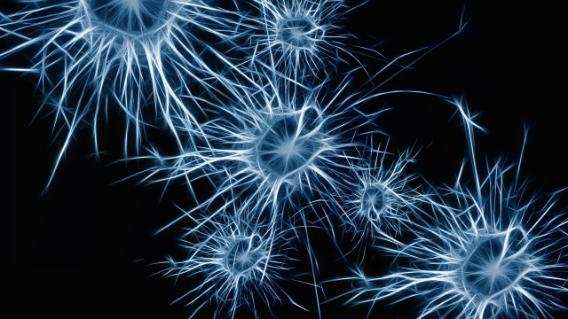 Blue fireworks night sky kimono free wallpaper - medium preview image