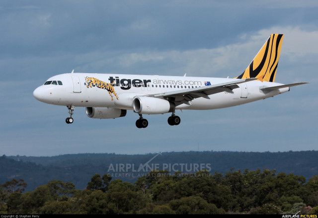 Tiger airplane flying low trees free wallpaper - medium preview image
