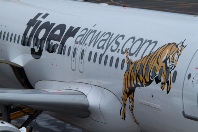 Tiger painted plane airport terminal free wallpaper - medium preview image