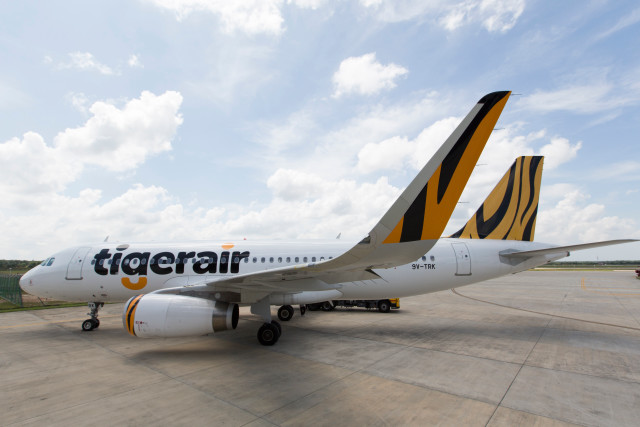 Tiger airplane tarmac airport sky free wallpaper - medium preview image