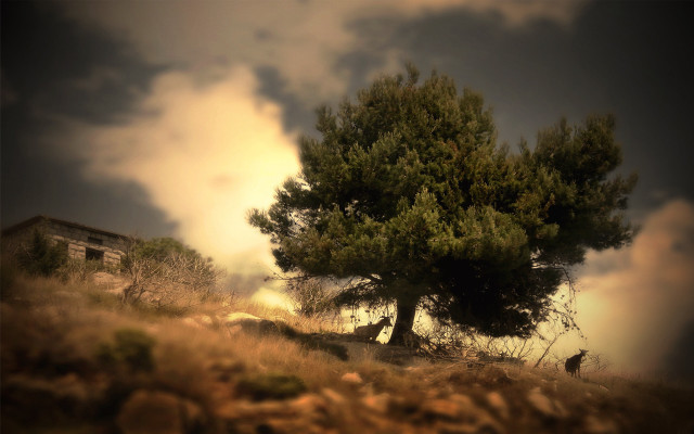 Lone tree hill building clouds free wallpaper - medium preview image