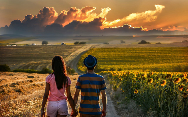 Couple walking sunflower field cloudy free wallpaper - medium preview image