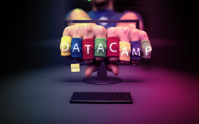Person holding computer screen data free wallpaper - medium preview image