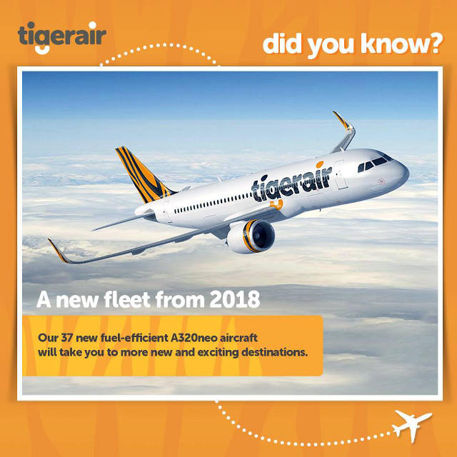 Tiger airplane flying sky caption free wallpaper - medium preview image