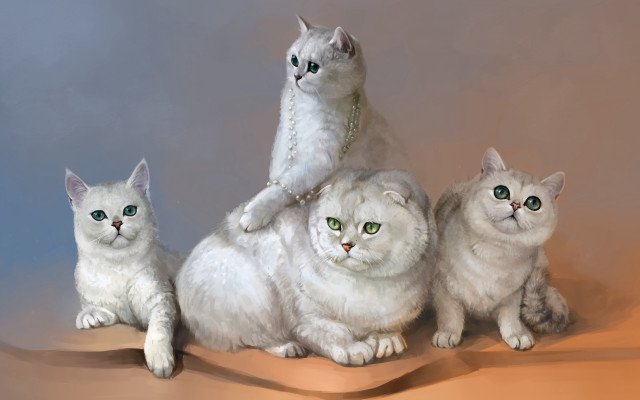 Three cats stacked tabletop calico free wallpaper - medium preview image