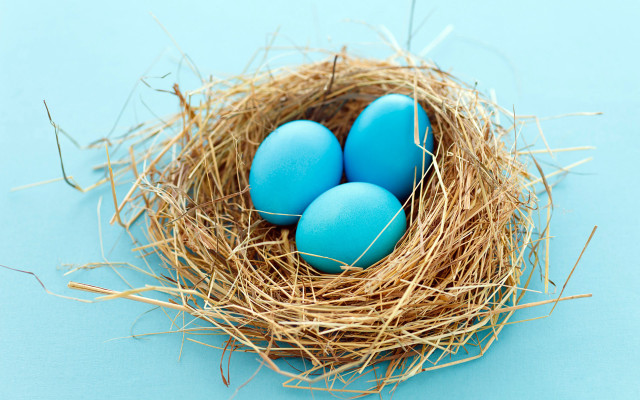Blue egg nest straw sky free wallpaper - medium preview image