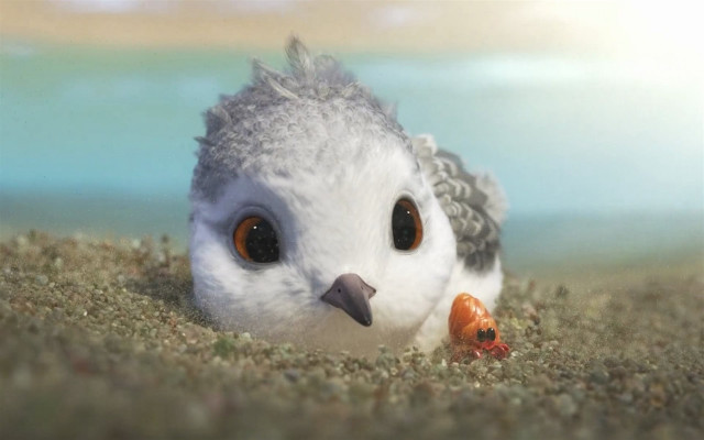 Bird fish beak sand outdoors free wallpaper - medium preview image